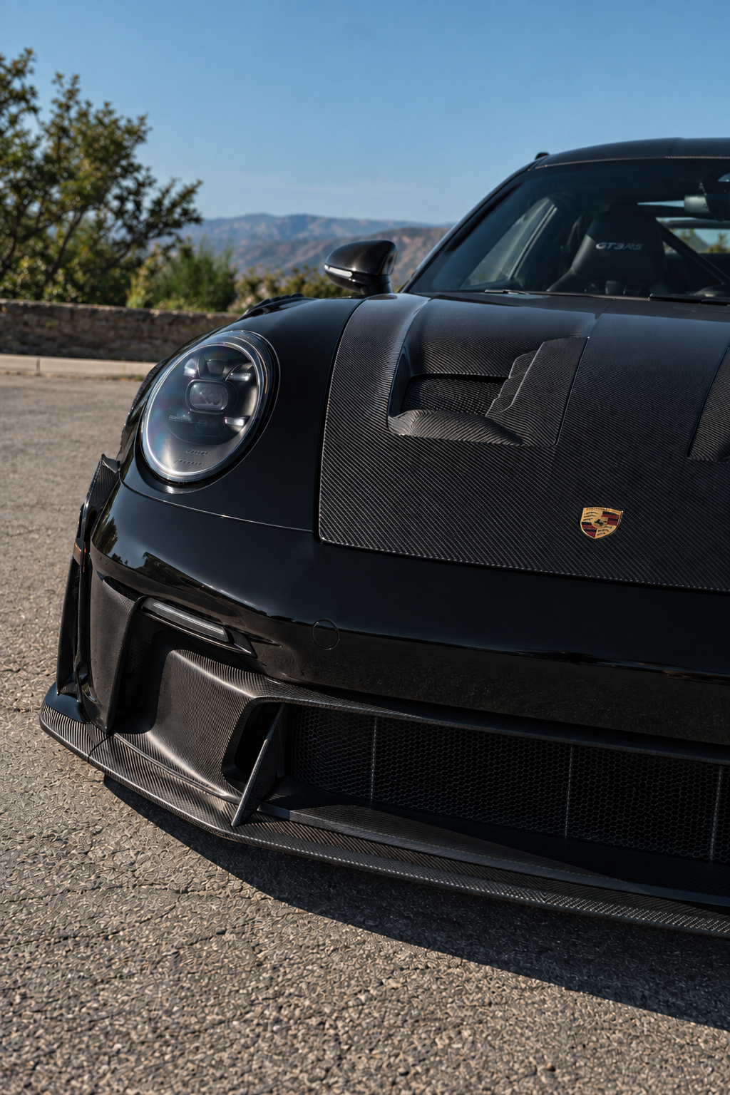PORSCHE GT3 RS carbon detail